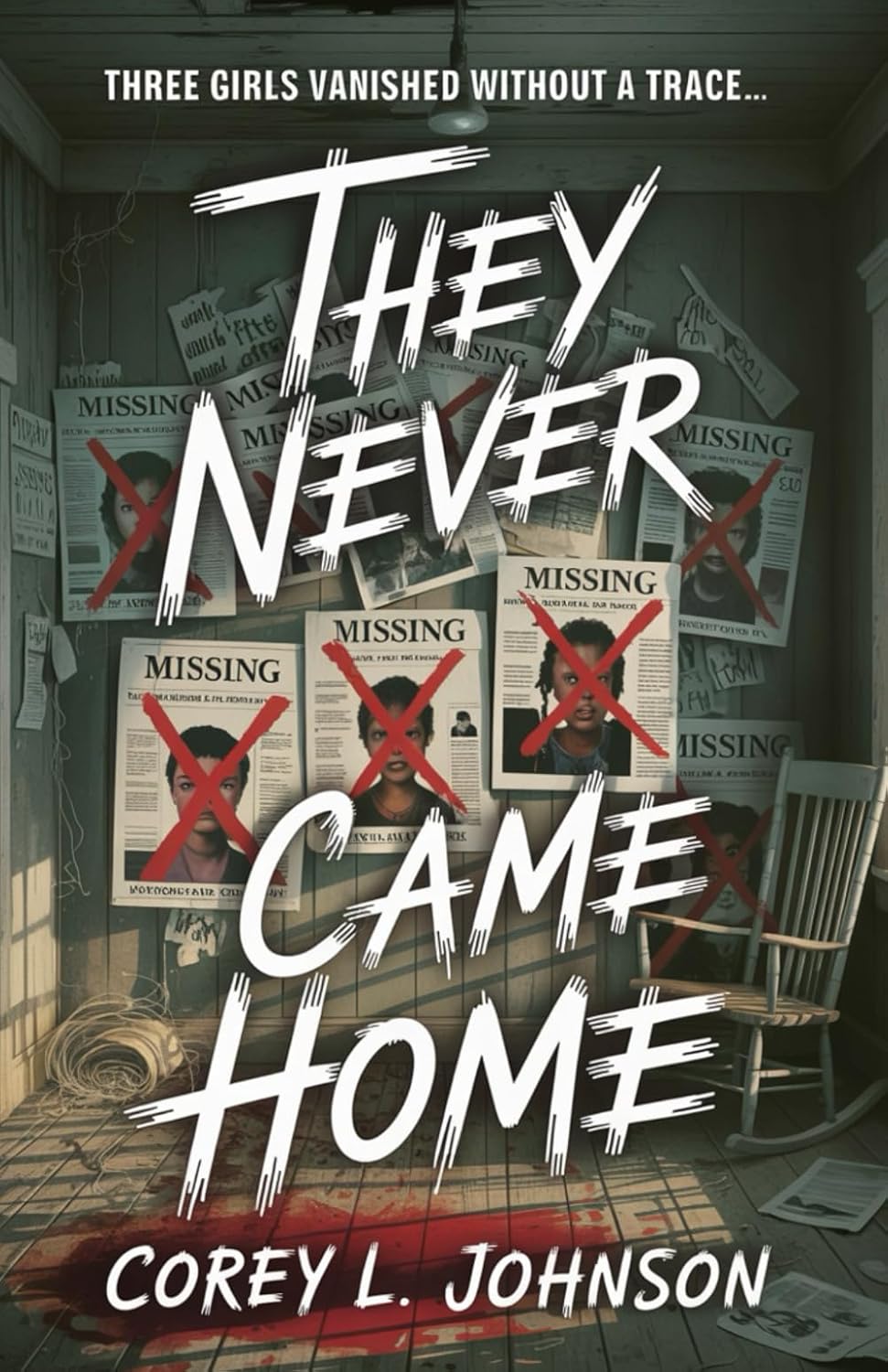 Cover of They Never Came Home